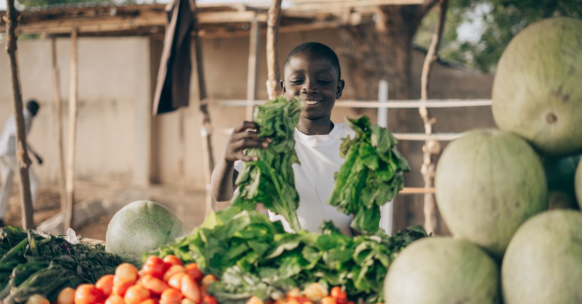 The Green Basket Co-op