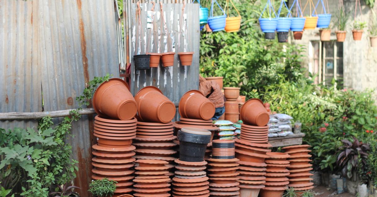 Cedar Hill Growers' Yard