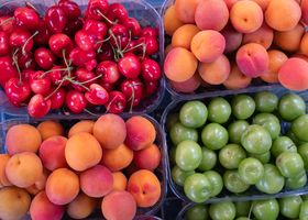 Hillcrest Orchard Row