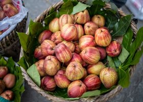 Hillcrest Orchard Tasting
